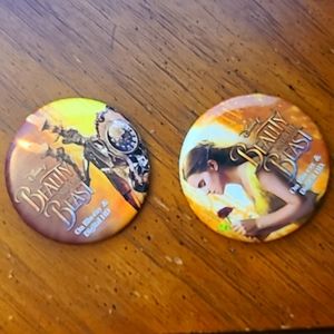 Beauty & Beast Pins